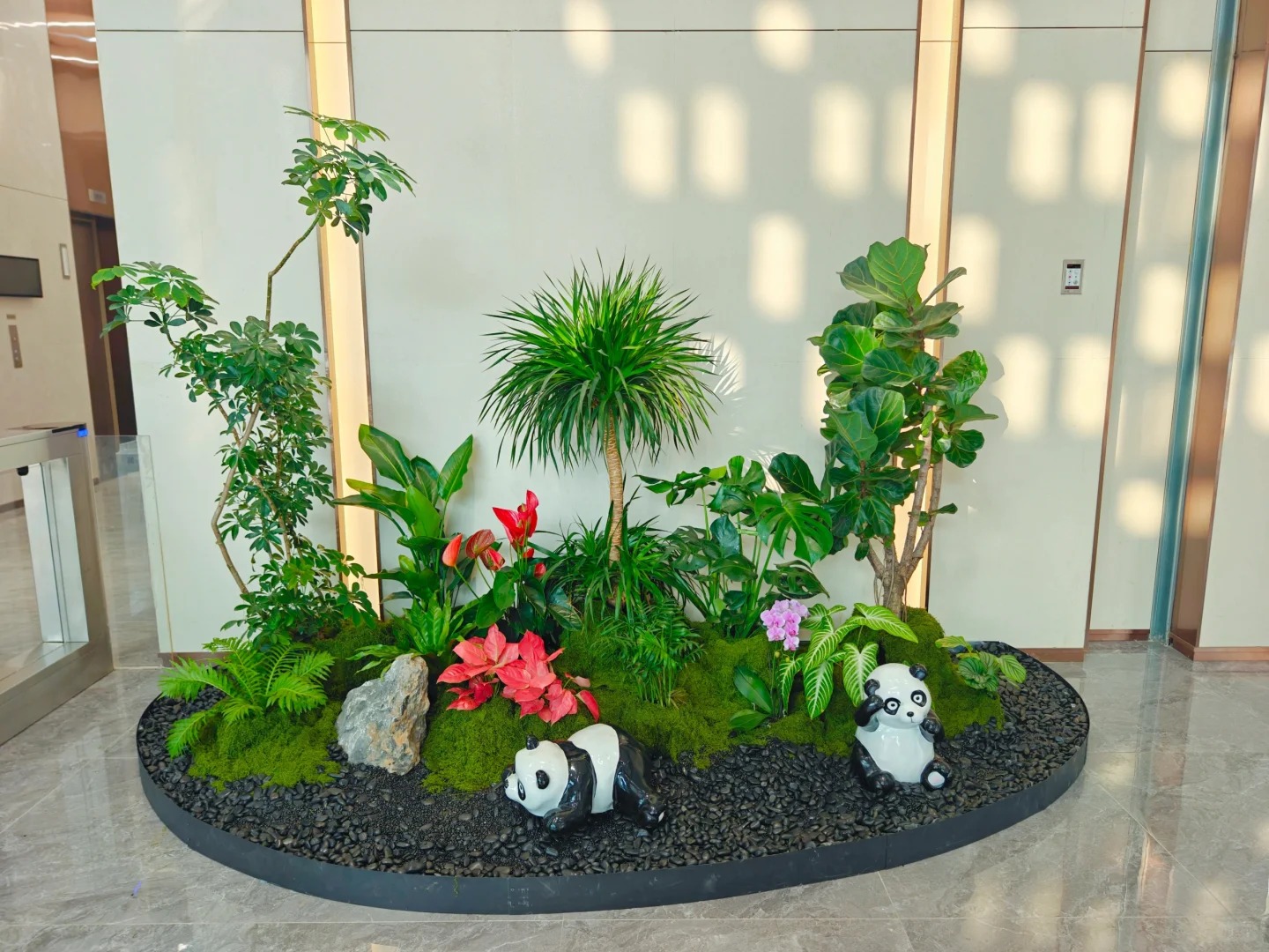 余姚植物租摆价格大比拼，哪家最划算？